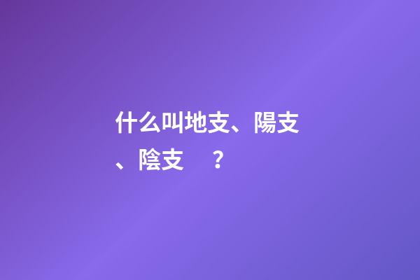 什么叫地支、陽支、陰支？